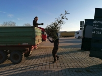 Christbaumaktion 2023